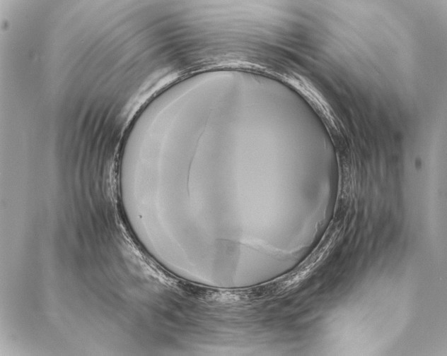 X0000086920806200705071326