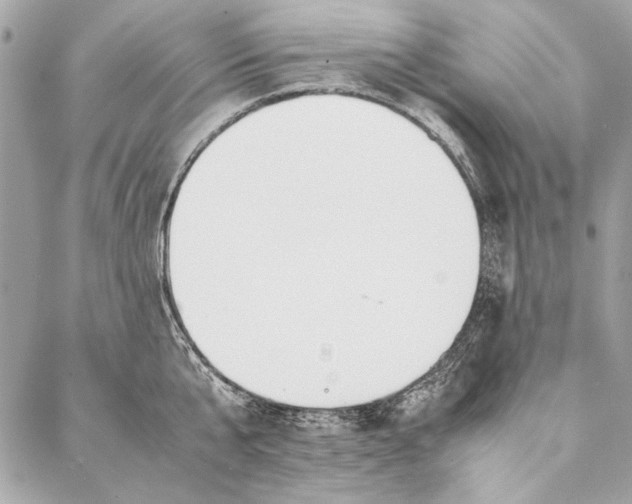 X0000086920807200705071326