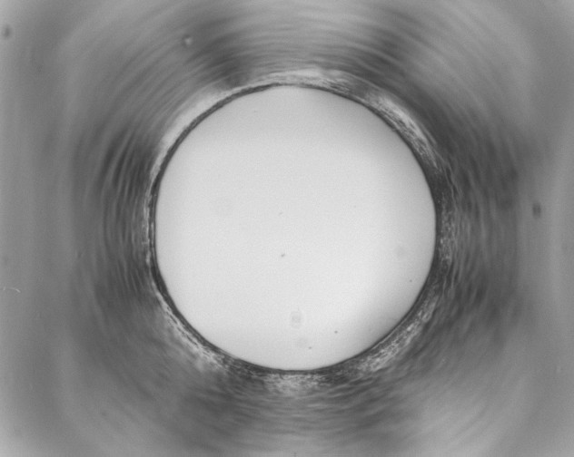 X0000086920808200705071326