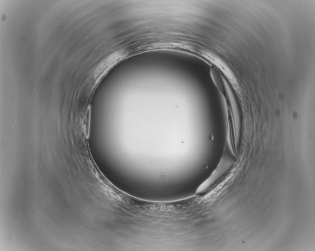 X0000086920809200705071326