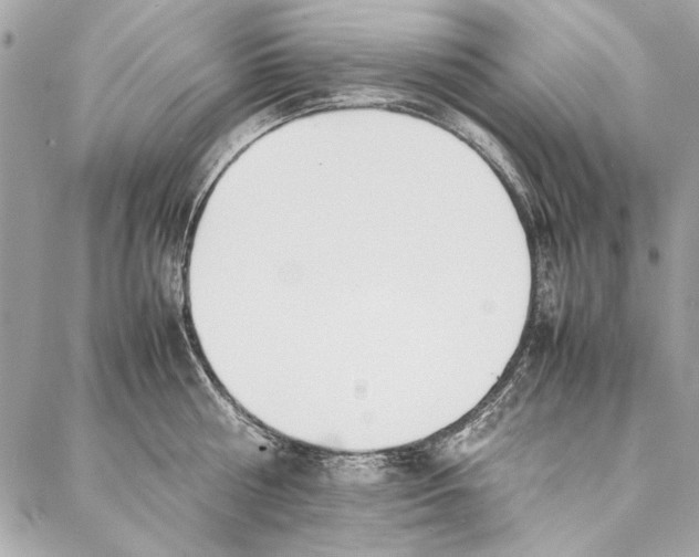 X0000086920810200705071326