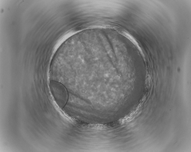 X0000086920811200705071326