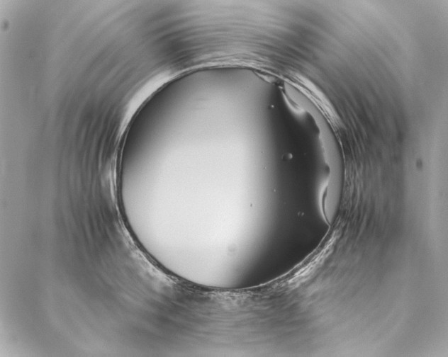 X0000086920812200705071326