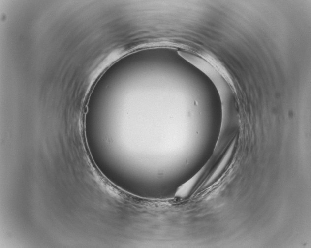 X0000086920813200705071326