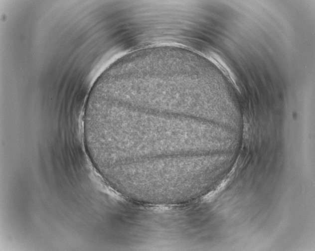 X0000086920814200705071326