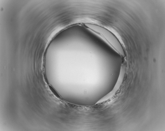 X0000086920815200705071326