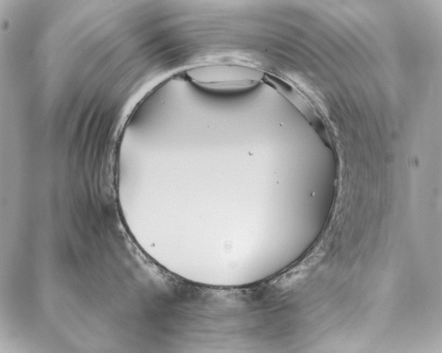 X0000086920816200705071326