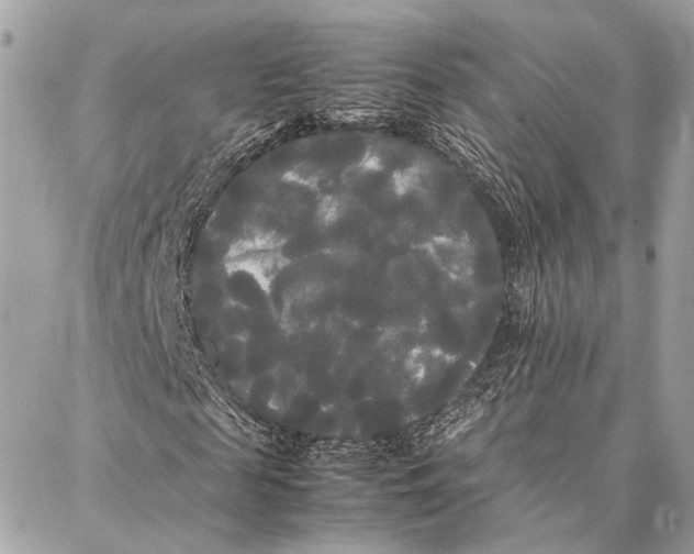 X0000086920817200705071325