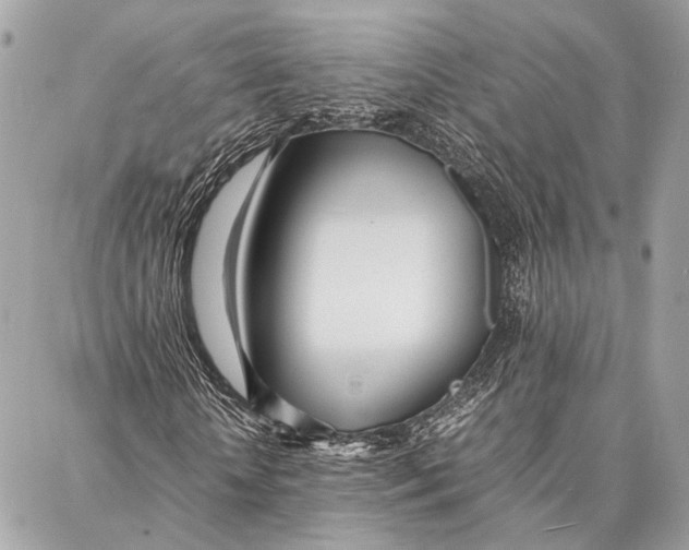 X0000086920818200705071325