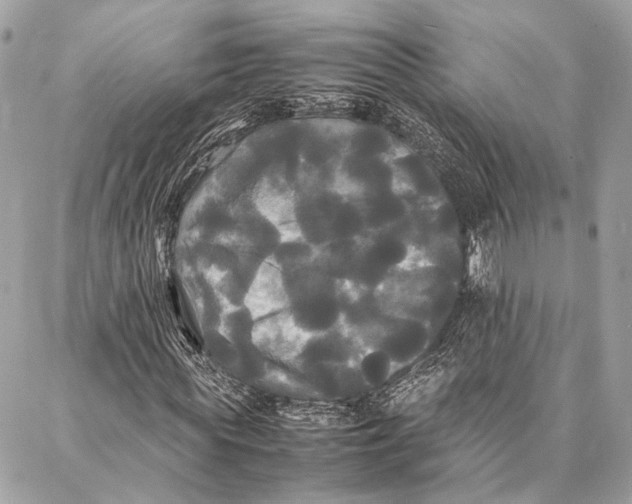 X0000086920819200705071325