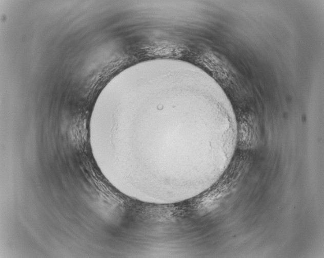 X0000086920820200705071326