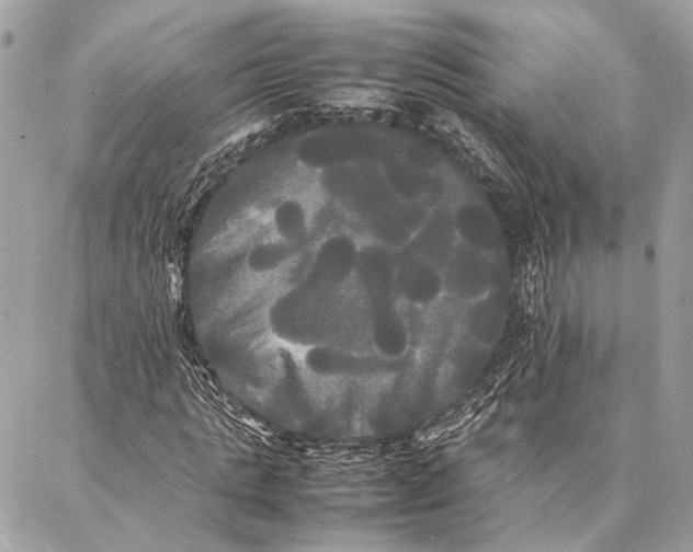 X0000086920821200705071326