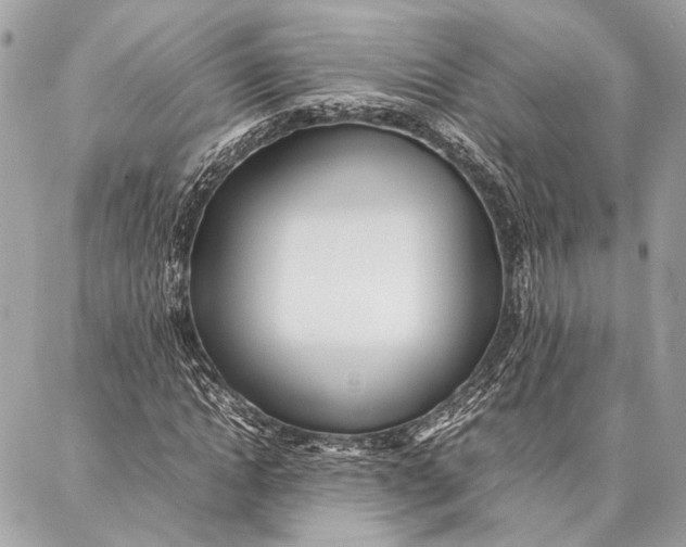 X0000086920822200705071326