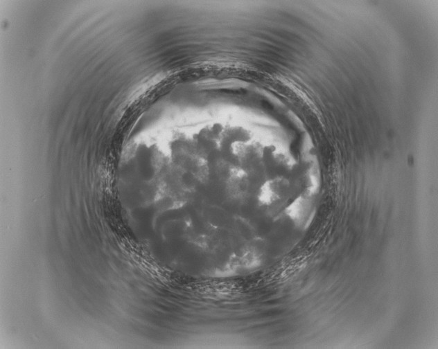 X0000086920823200705071326