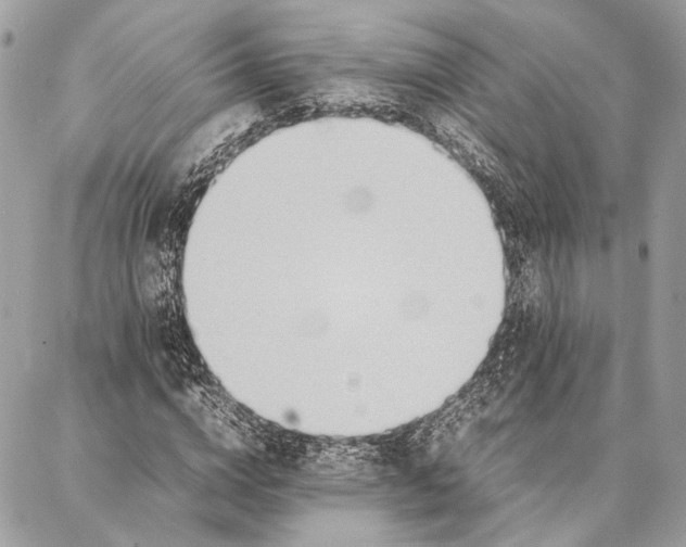 X0000086920824200705071326