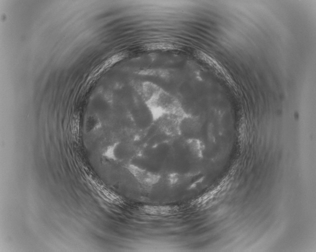 X0000086920825200705071326