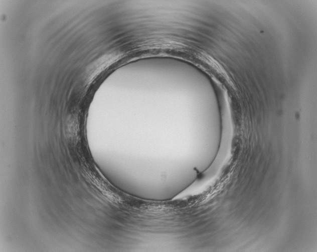 X0000086920826200705071326