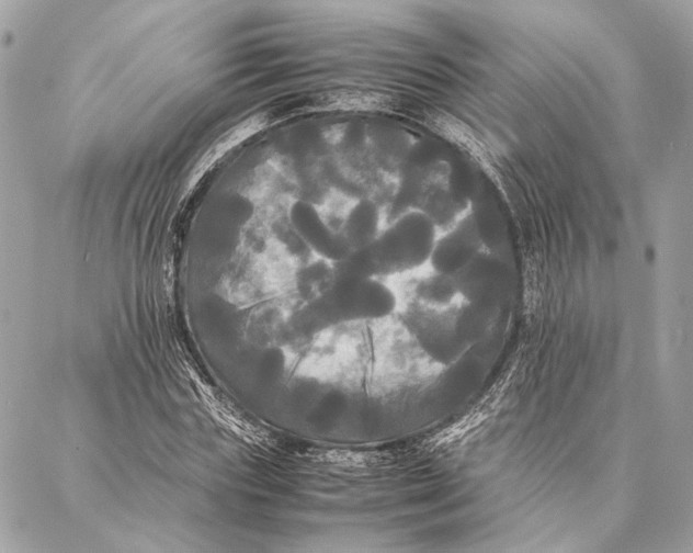 X0000086920827200705071326