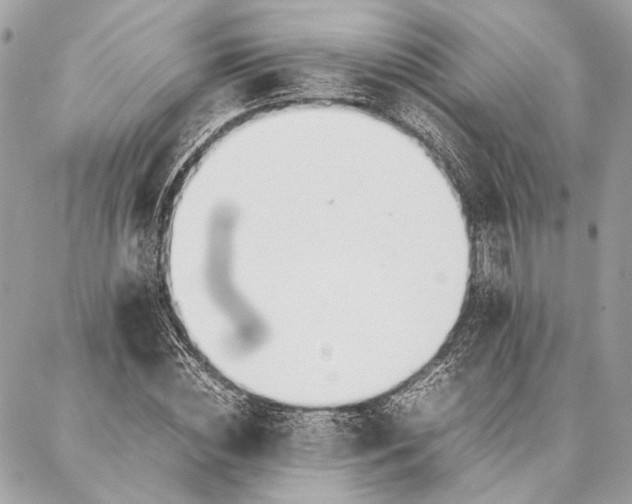 X0000086920828200705071326