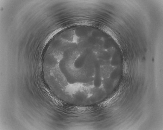 X0000086920829200705071326