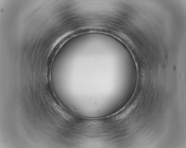 X0000086920830200705071326