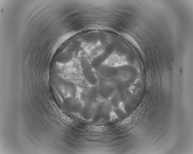 X0000086920831200705071326