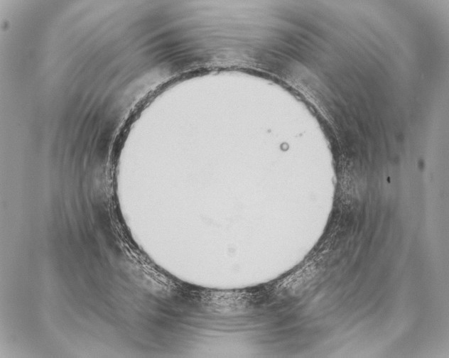 X0000086920832200705071326