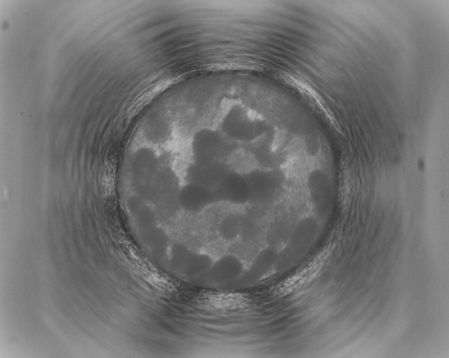 X0000086920833200705071326