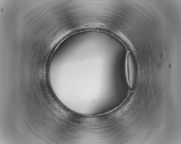 X0000086920834200705071326