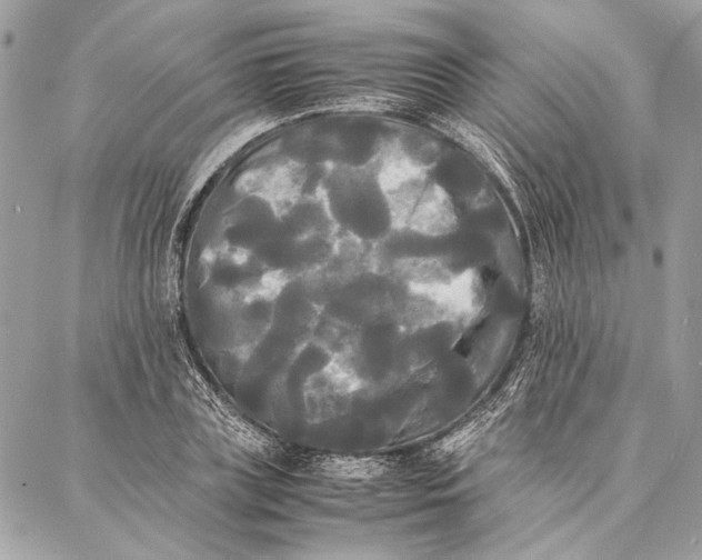 X0000086920835200705071326