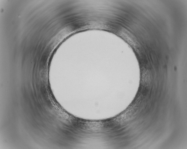 X0000086920836200705071326