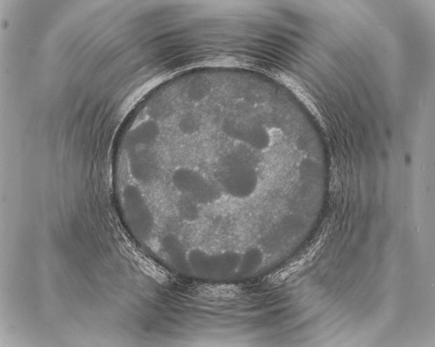 X0000086920837200705071326