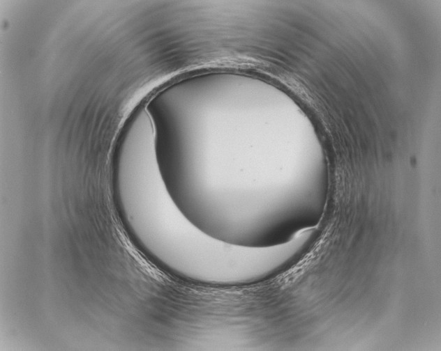 X0000086920838200705071326