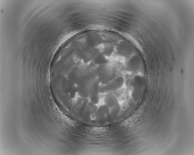 X0000086920839200705071326