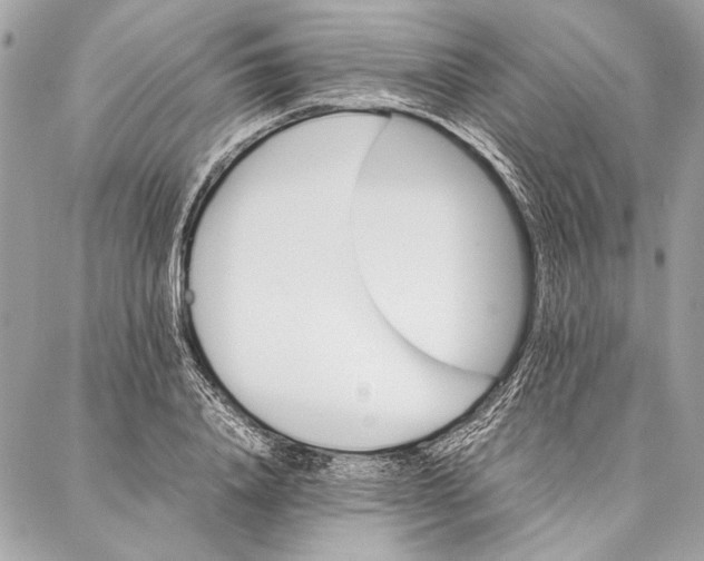 X0000086920840200705071326