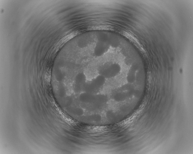 X0000086920841200705071326