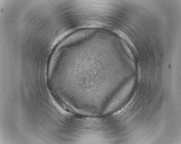 X0000086920842200705071326