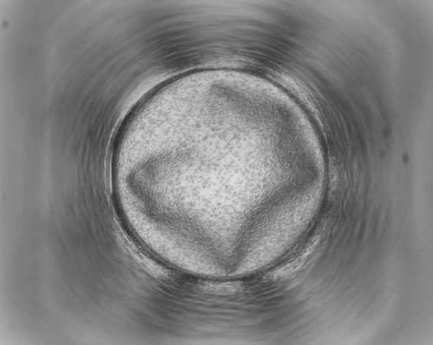 X0000086920843200705071326