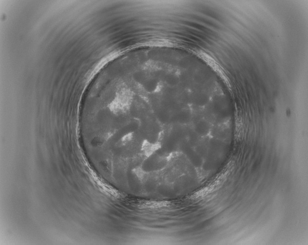 X0000086920845200705071326