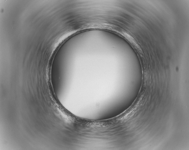 X0000086920846200705071326