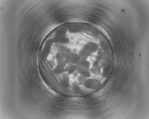 X0000086920847200705071326