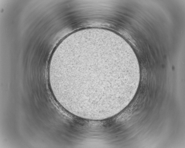 X0000086920848200705071326