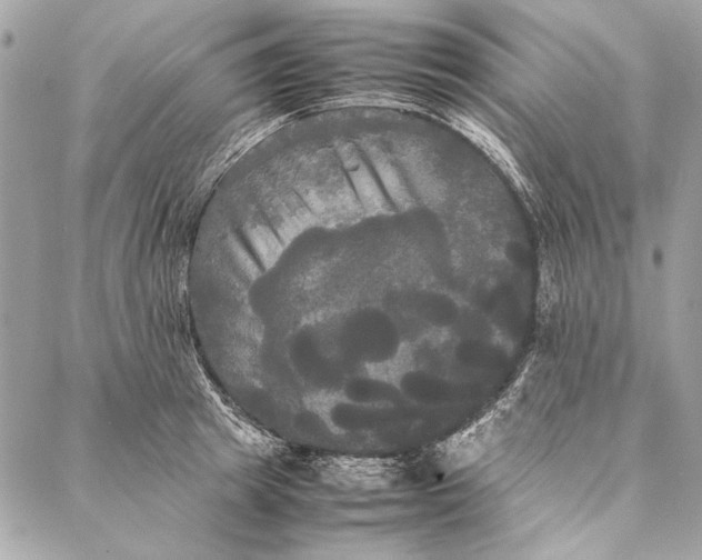 X0000086920849200705071326