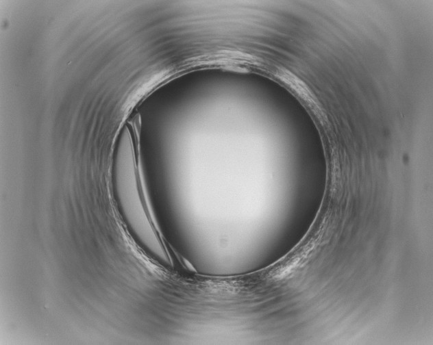 X0000086920850200705071326