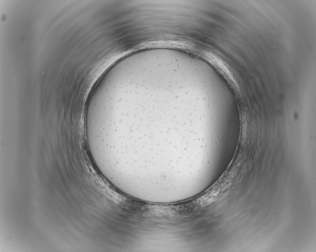 X0000086920852200705071326