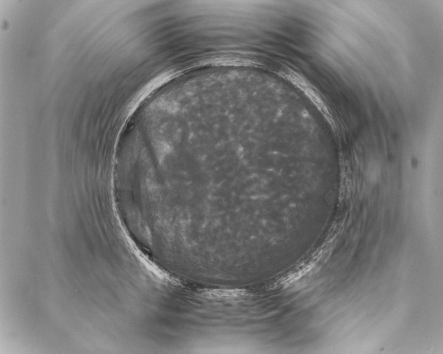 X0000086920853200705071326