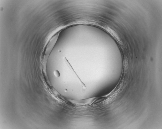 X0000086920854200705071326