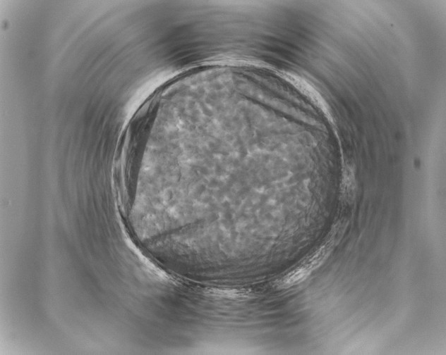 X0000086920855200705071326