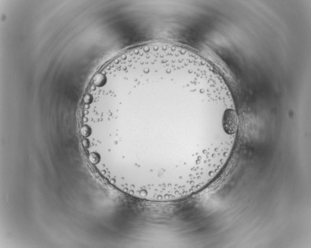 X0000086920856200705071326