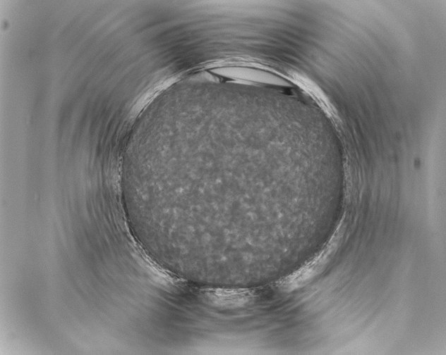 X0000086920857200705071326